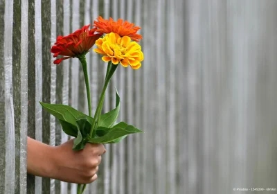 Blumenstrauss - Es tut mit Leid - Blumen für eine Entschuldigung