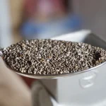 Alles, was Sie über Chia Samen wissen müssen und wie man sie essen sollte