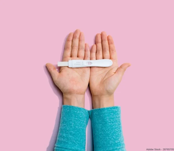 Gravidität Schwangerschaft